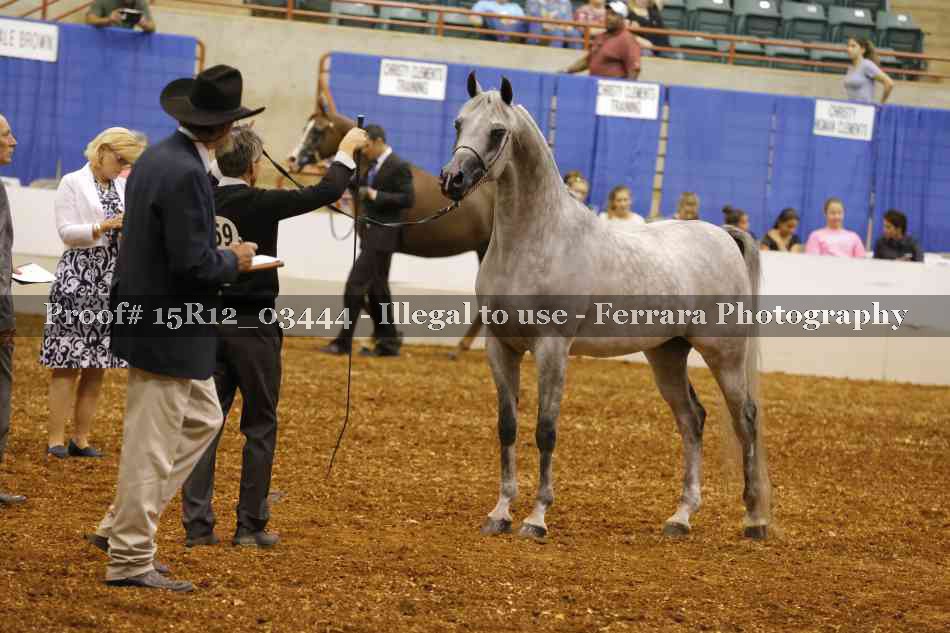 Proof Number 15R12_03444