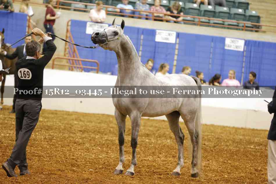 Proof Number 15R12_03445