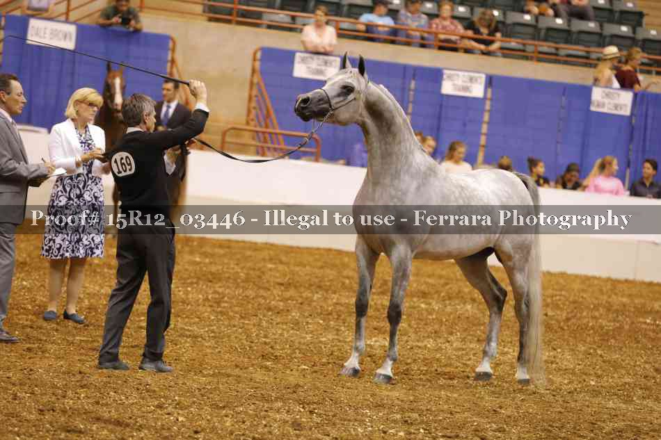 Proof Number 15R12_03446