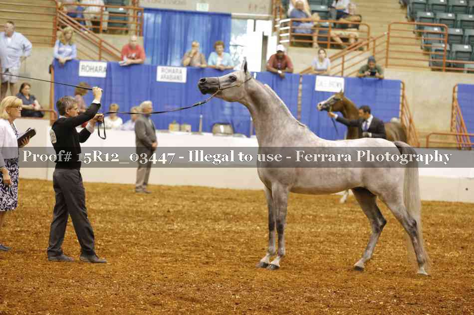 Proof Number 15R12_03447