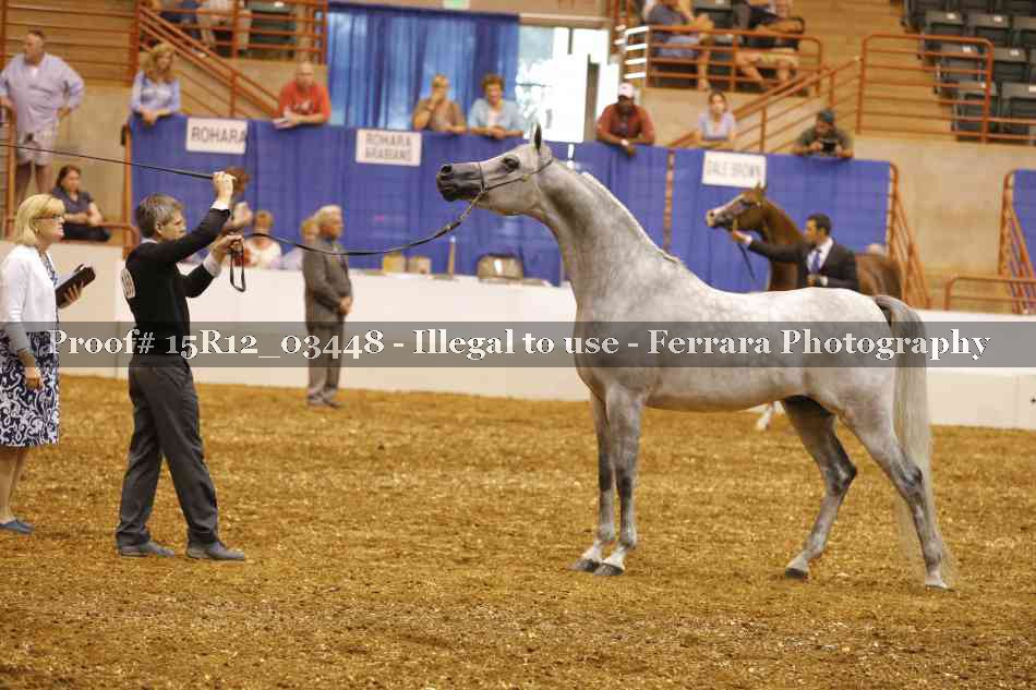 Proof Number 15R12_03448