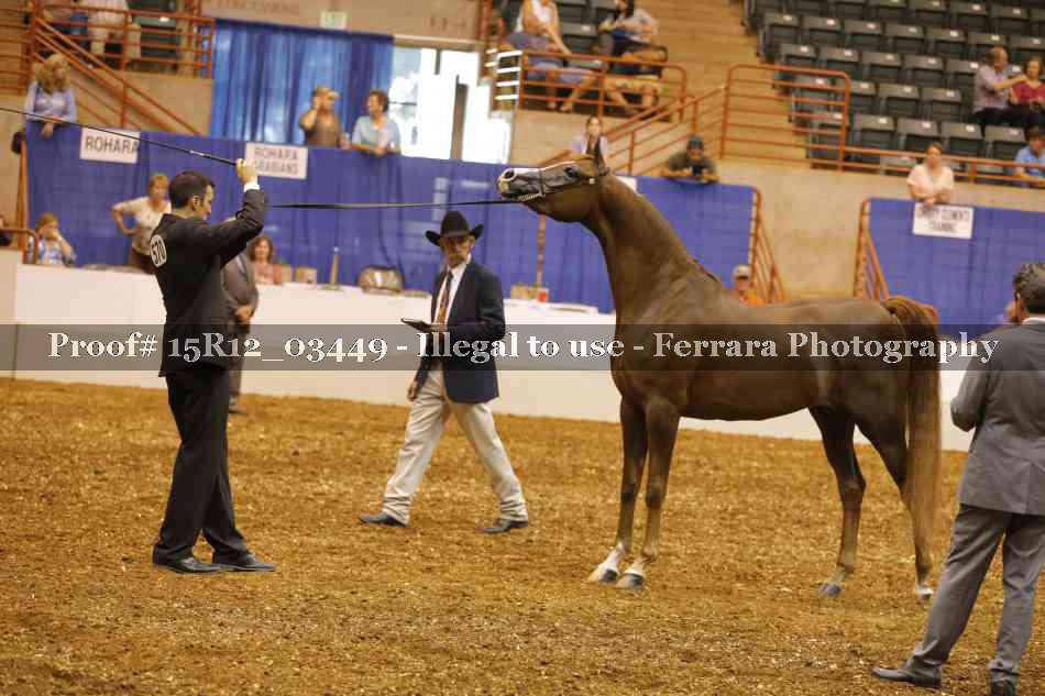Proof Number 15R12_03449