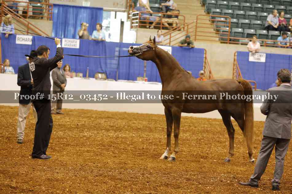 Proof Number 15R12_03452