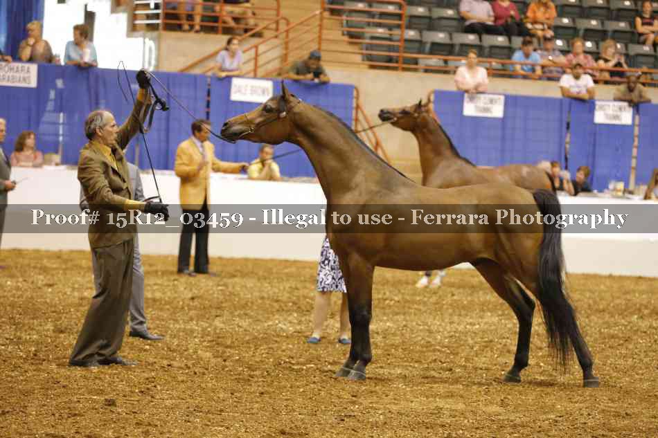 Proof Number 15R12_03459