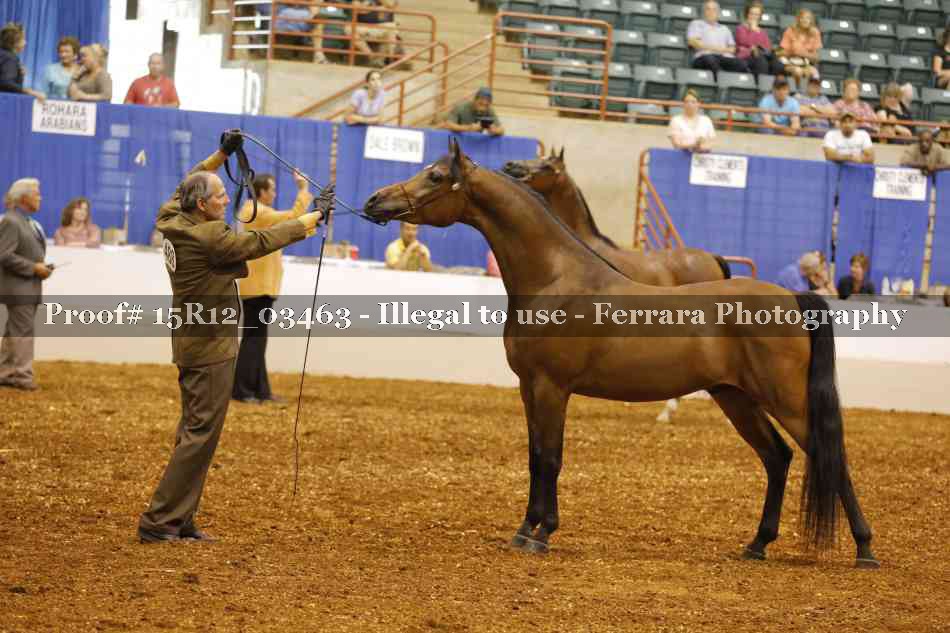 Proof Number 15R12_03463