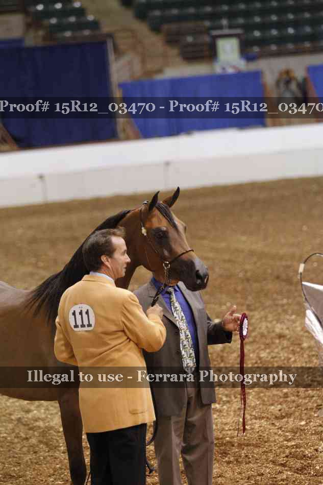 Proof Number 15R12_03470