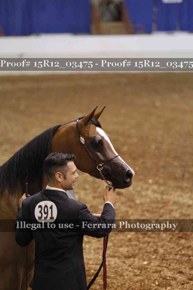 Proof Number 15R12_03475