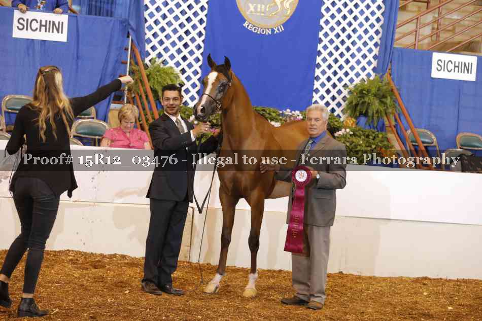 Proof Number 15R12_03476