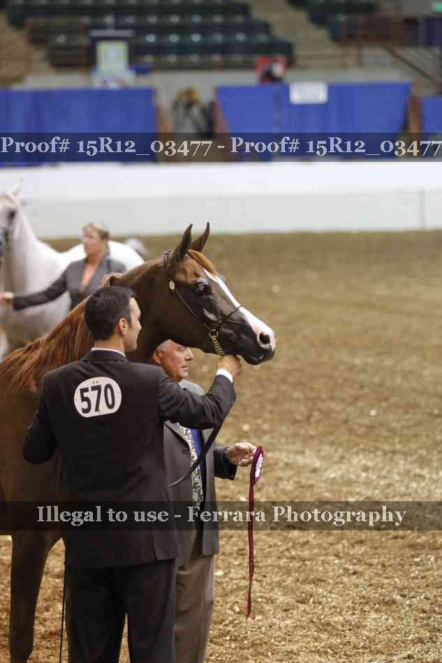 Proof Number 15R12_03477