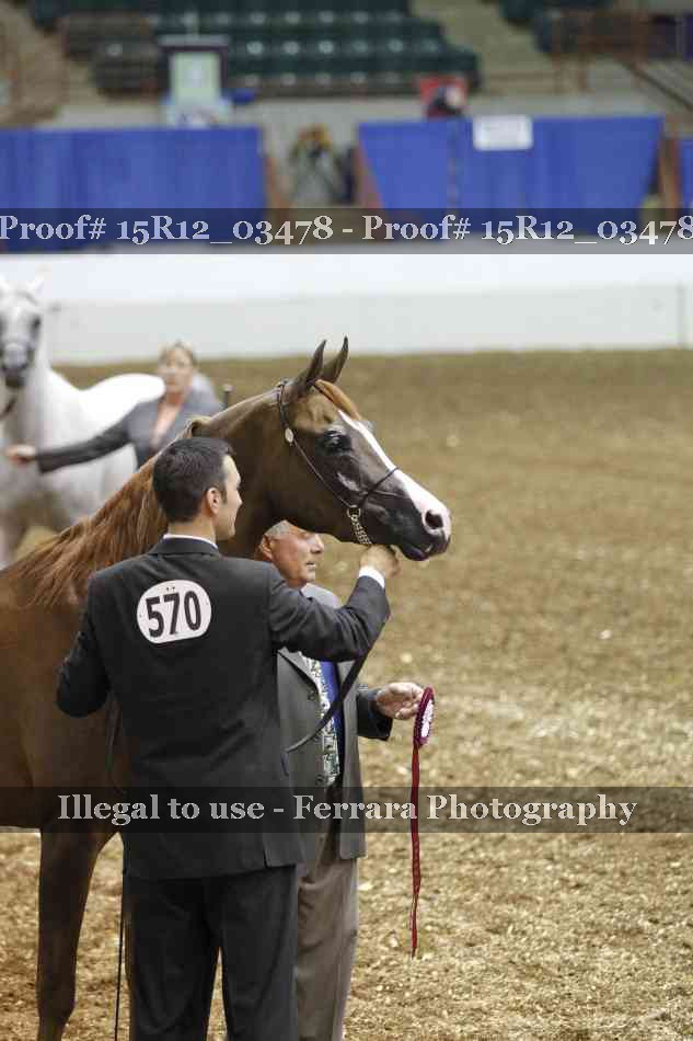 Proof Number 15R12_03478