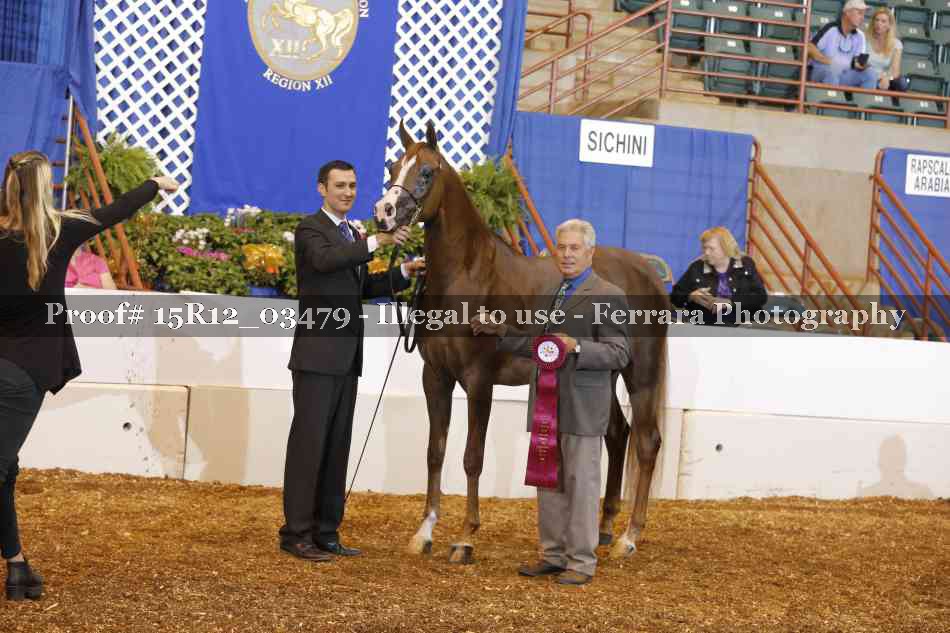 Proof Number 15R12_03479