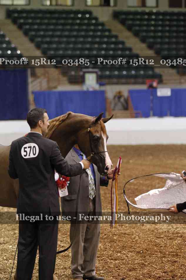 Proof Number 15R12_03485