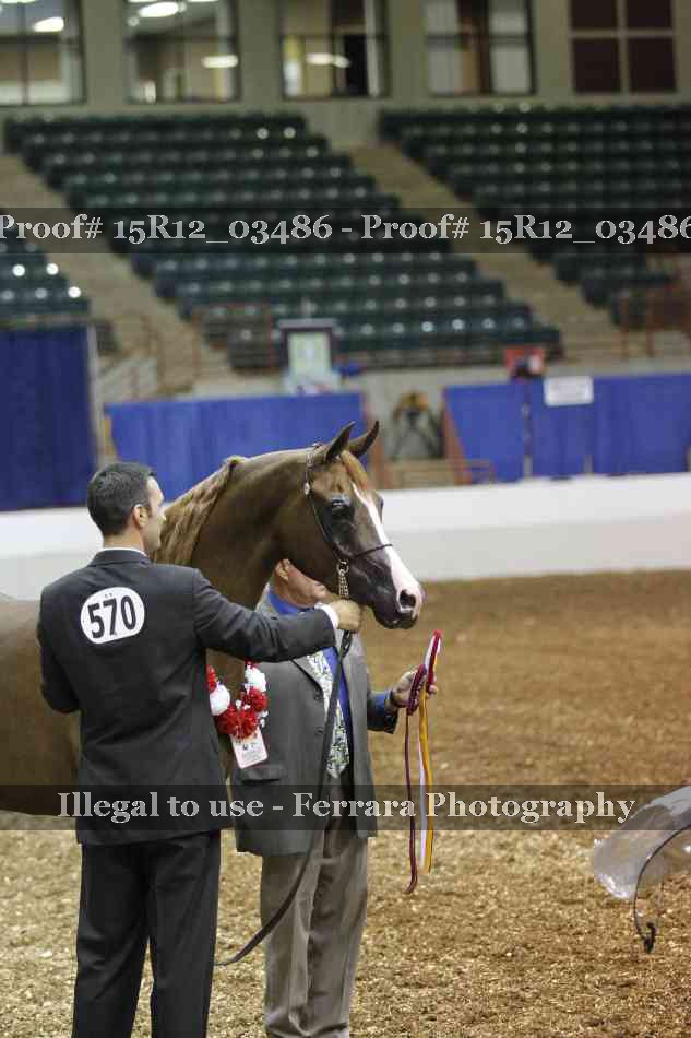 Proof Number 15R12_03486