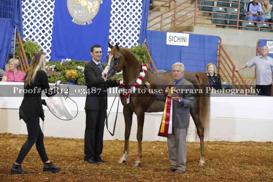 Proof Number 15R12_03487