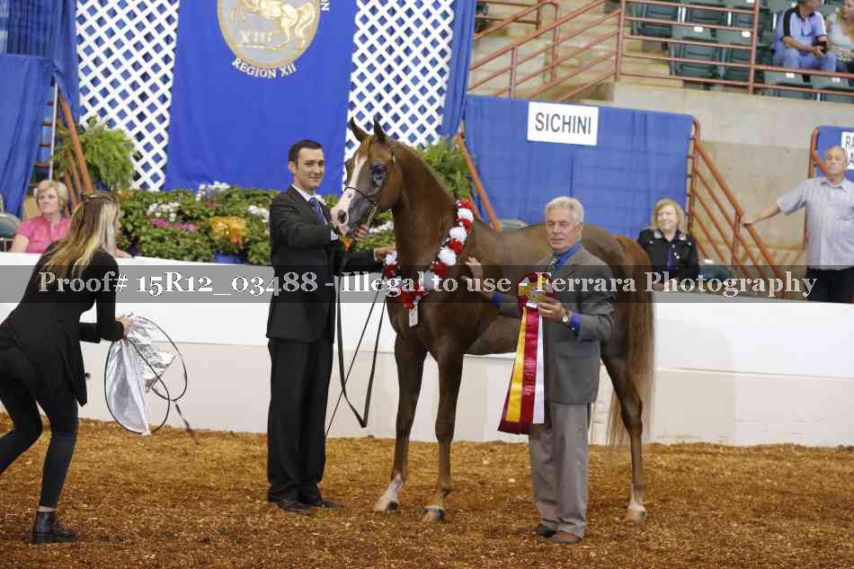 Proof Number 15R12_03488
