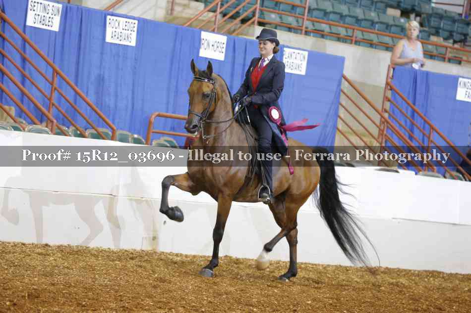 Proof Number 15R12_03696