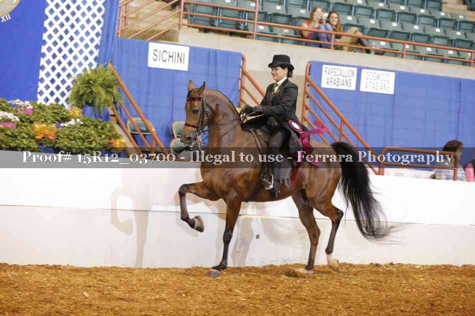 Proof Number 15R12_03700