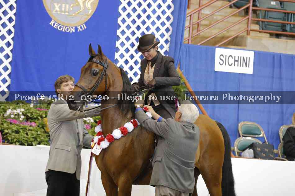 Proof Number 15R12_03720