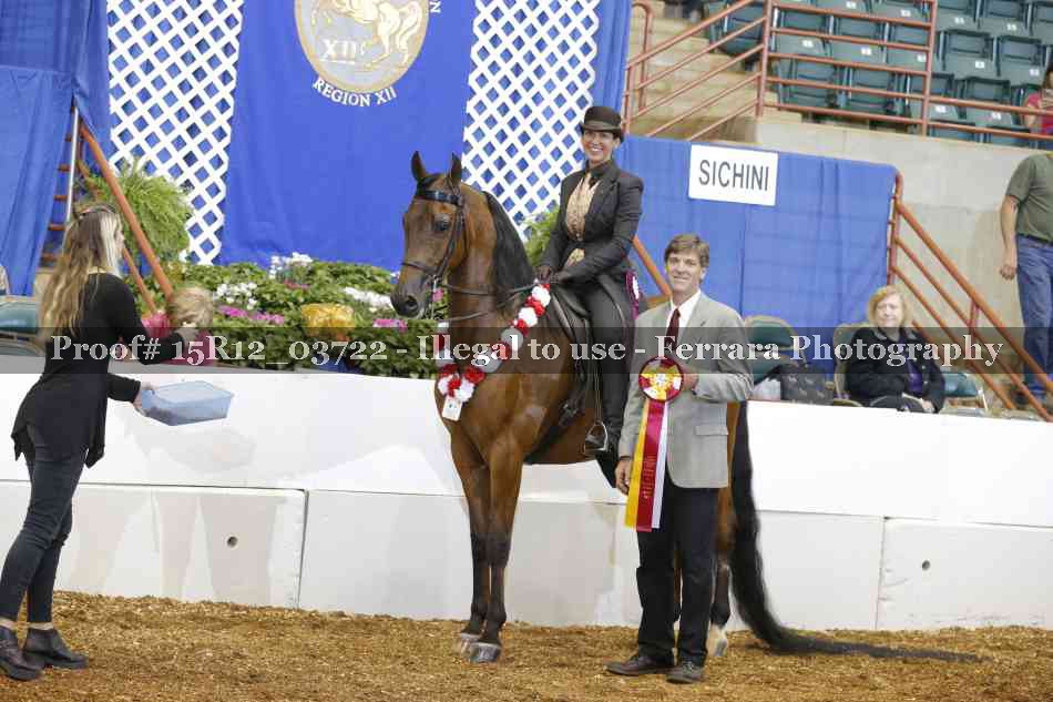 Proof Number 15R12_03722