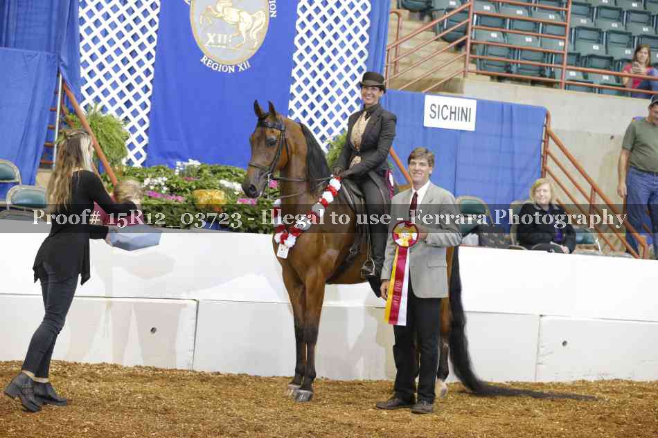 Proof Number 15R12_03723