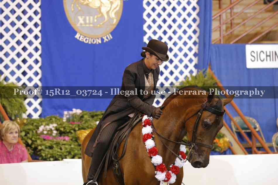 Proof Number 15R12_03724