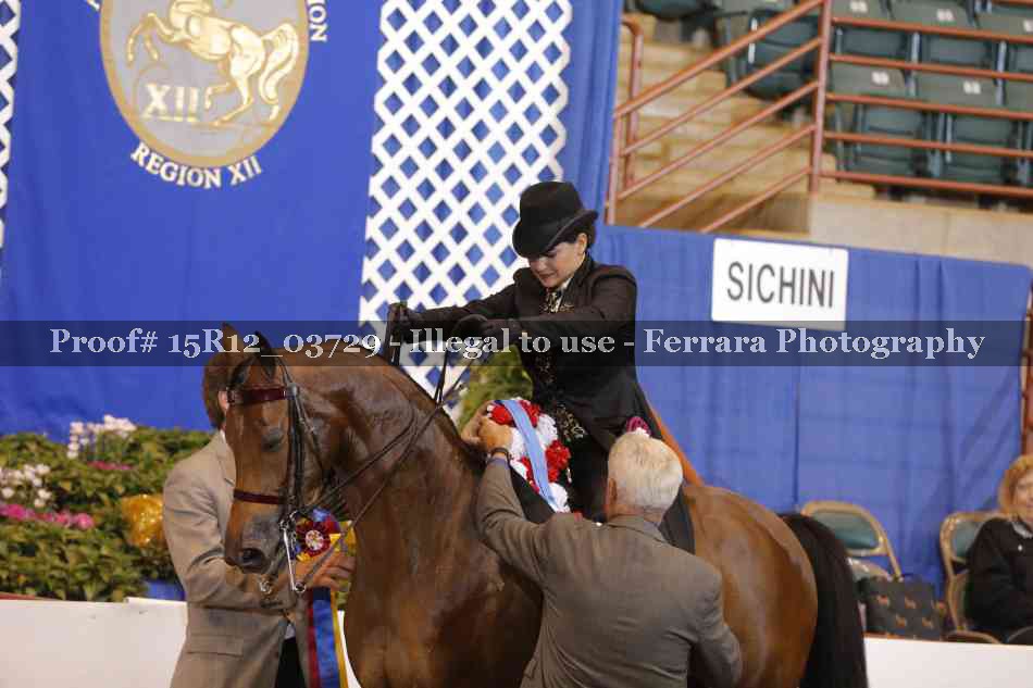Proof Number 15R12_03729