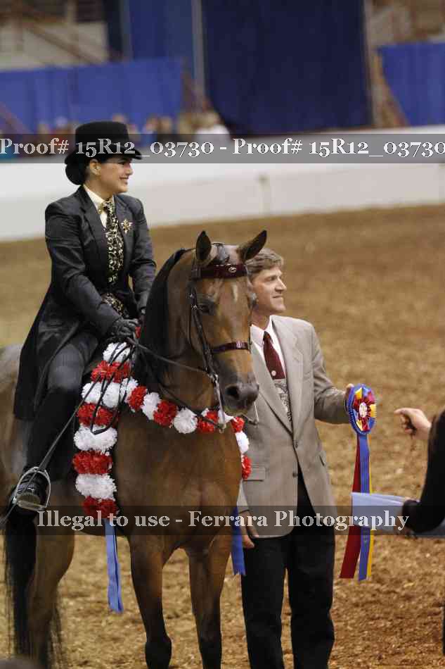 Proof Number 15R12_03730