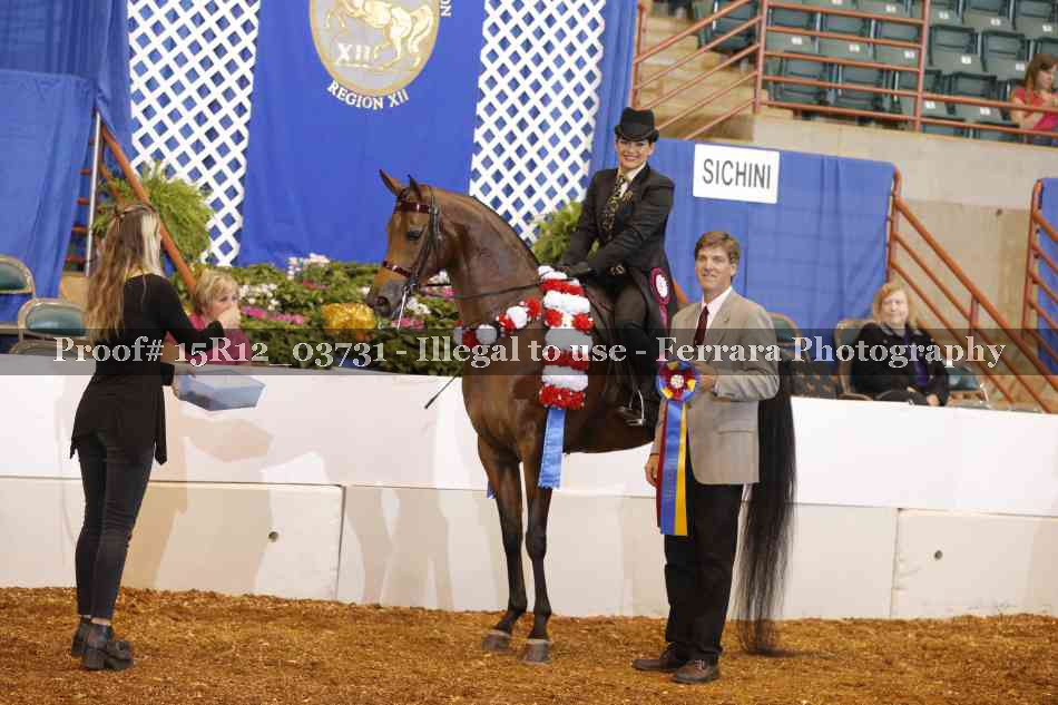Proof Number 15R12_03731