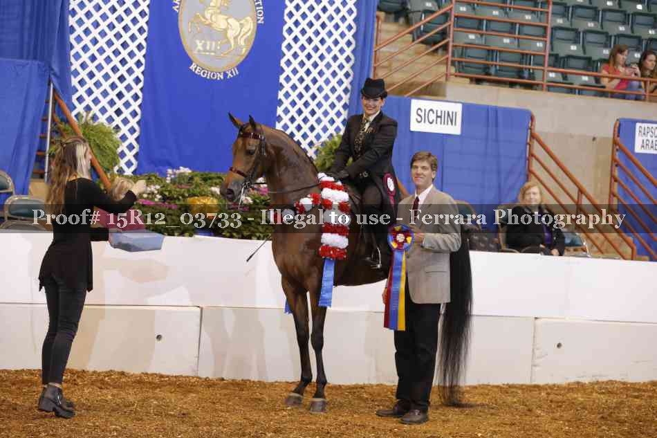 Proof Number 15R12_03733