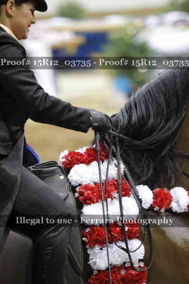 Proof Number 15R12_03735