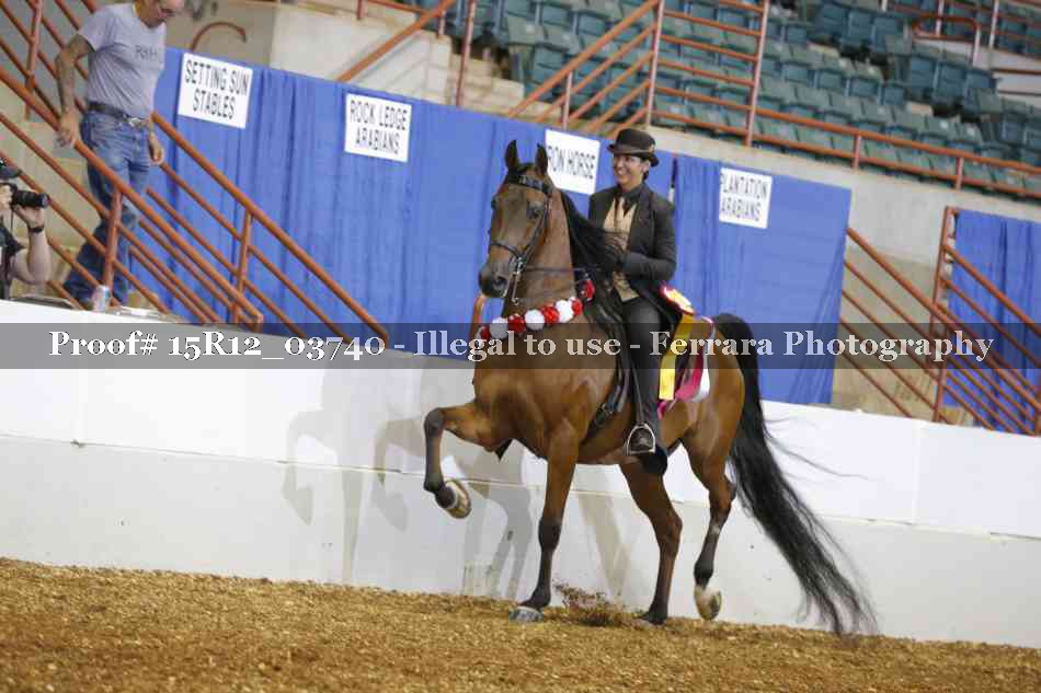 Proof Number 15R12_03740