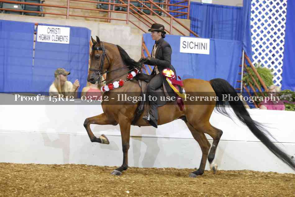 Proof Number 15R12_03742