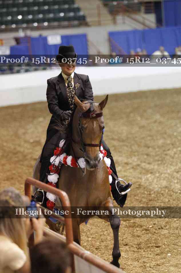 Proof Number 15R12_03745