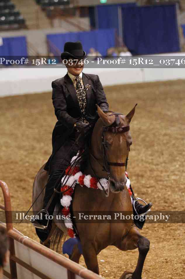 Proof Number 15R12_03746
