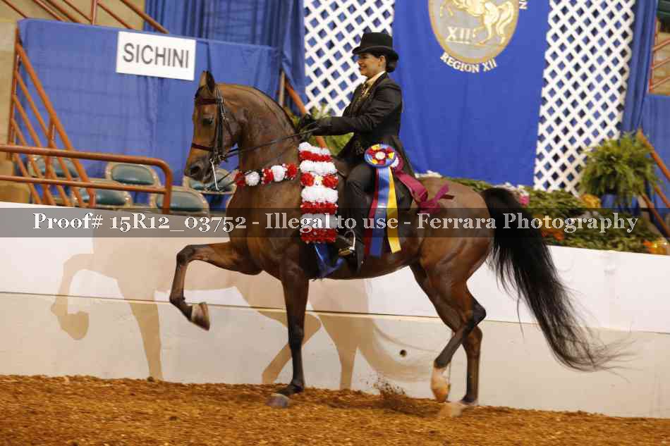 Proof Number 15R12_03752