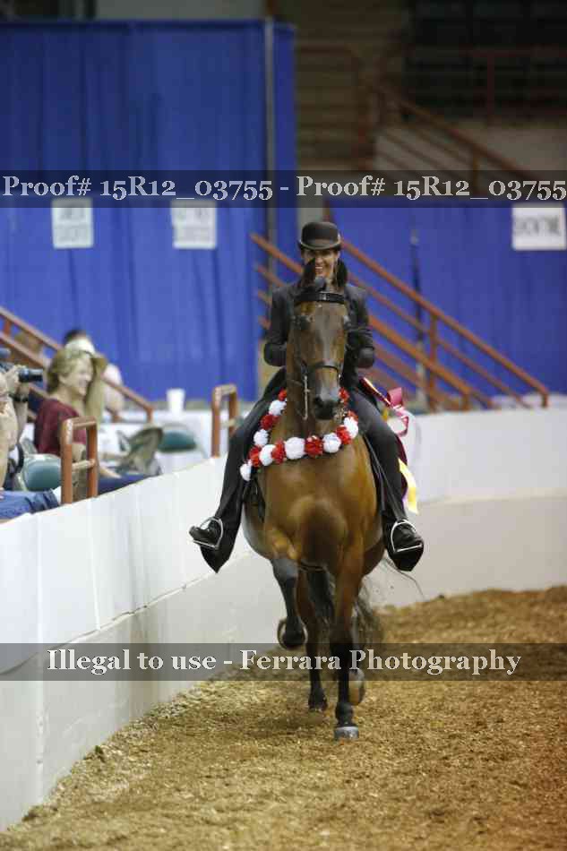 Proof Number 15R12_03755
