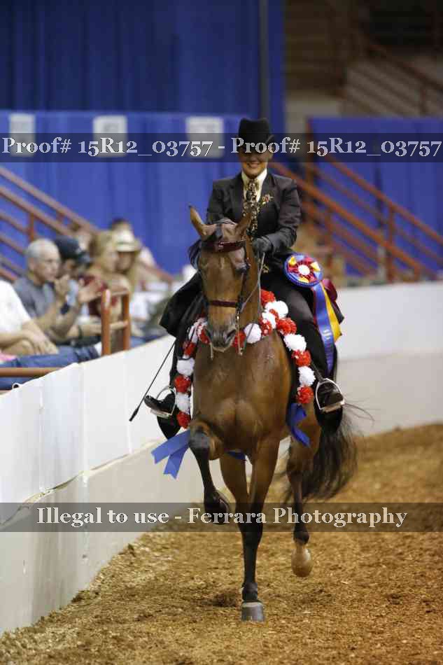 Proof Number 15R12_03757