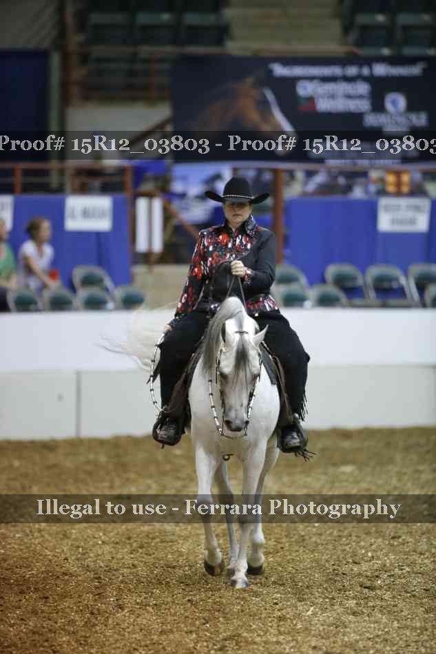 Proof Number 15R12_03803