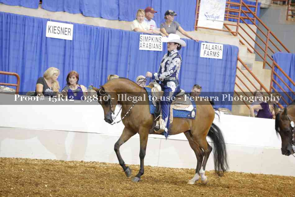 Proof Number 15R12_03810