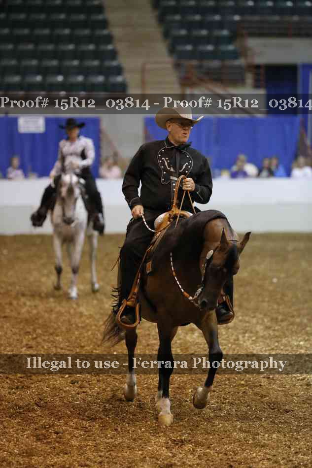 Proof Number 15R12_03814