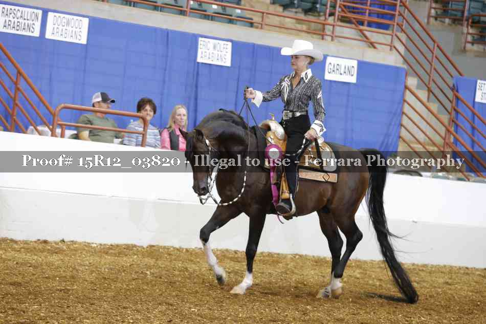 Proof Number 15R12_03820