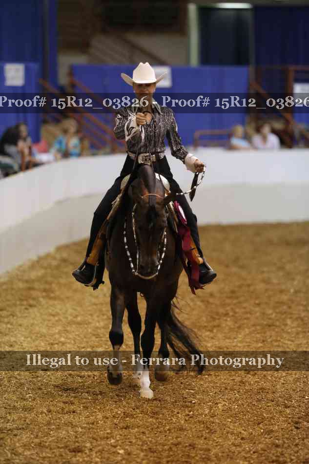 Proof Number 15R12_03826
