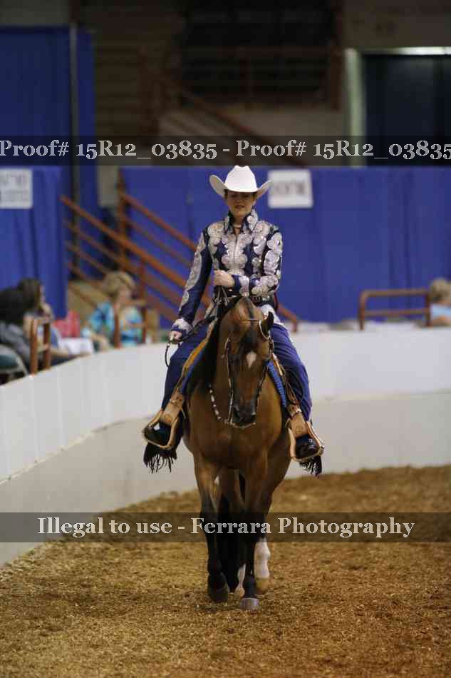 Proof Number 15R12_03835