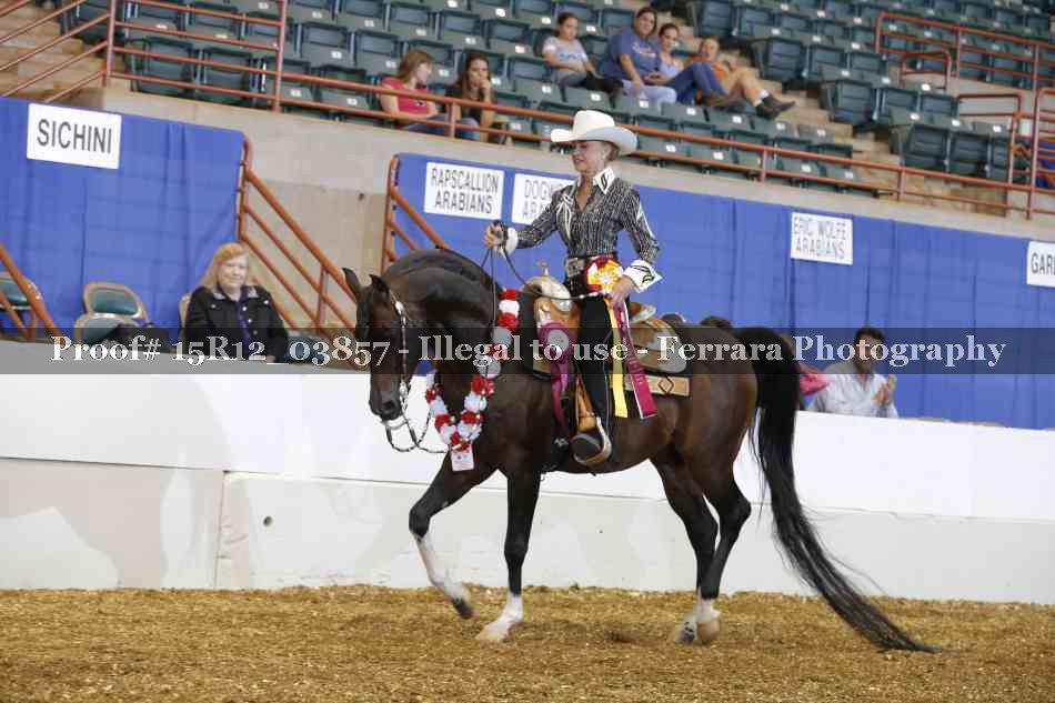 Proof Number 15R12_03857