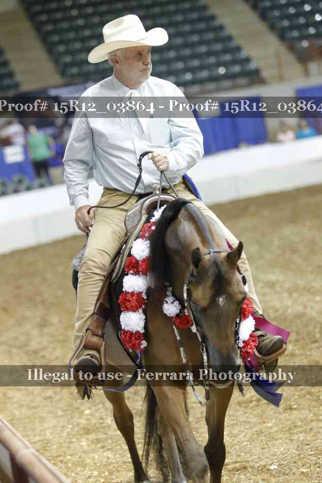 Proof Number 15R12_03864