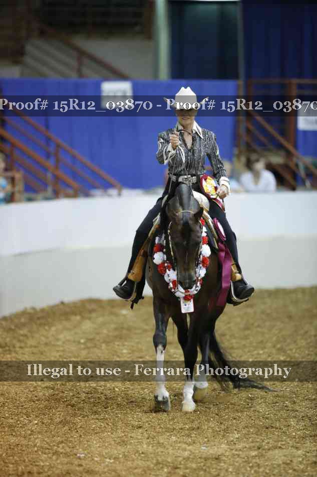 Proof Number 15R12_03870