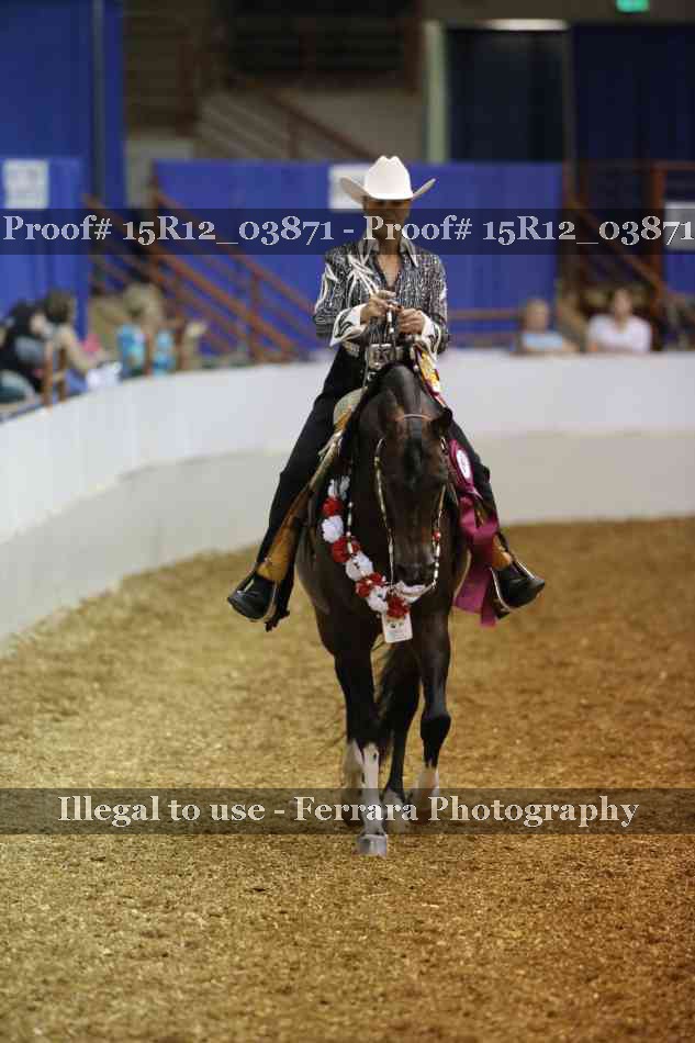 Proof Number 15R12_03871