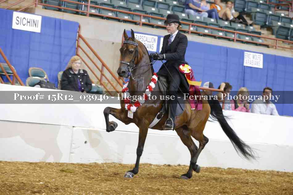 Proof Number 15R12_03946