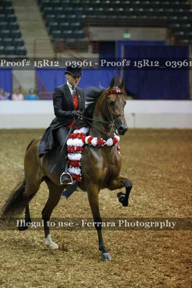 Proof Number 15R12_03961