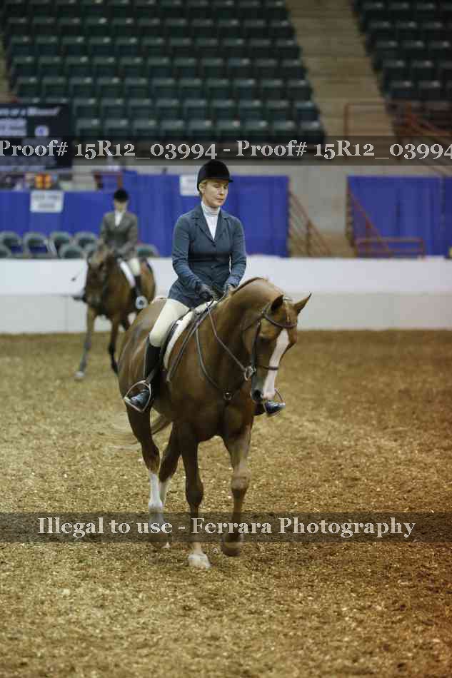 Proof Number 15R12_03994
